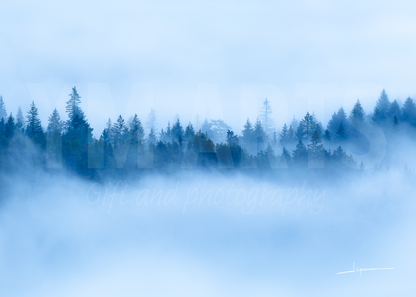 Matted print of photograph "Misty morning in Sea to Sky Country" #00801