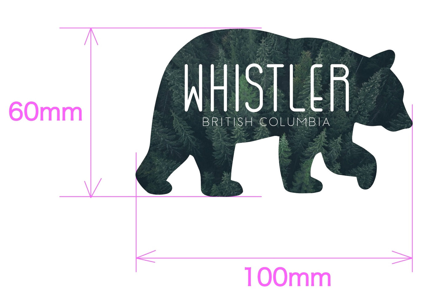 Walking bear die-cut vinyl sticker